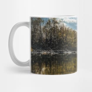 Reflection in the water Mug